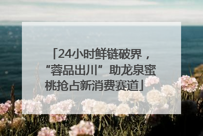 24小时鲜链破界，“蓉品出川”助龙泉蜜桃抢占新消费赛道